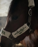 🐴🎁 Überraschungsbox Halfter inkl Druck