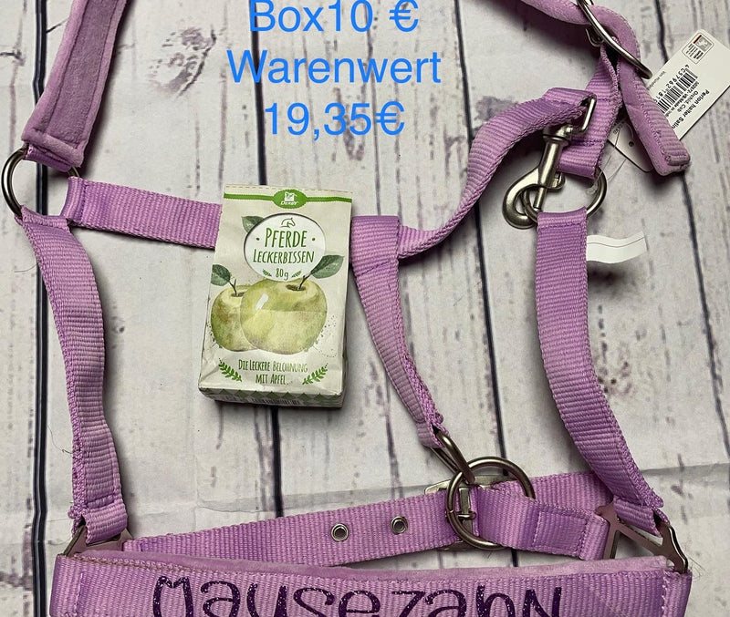 Überraschungsbox Reiter