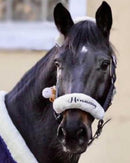 🐴🎁 Überraschungsbox Halfter inkl Druck