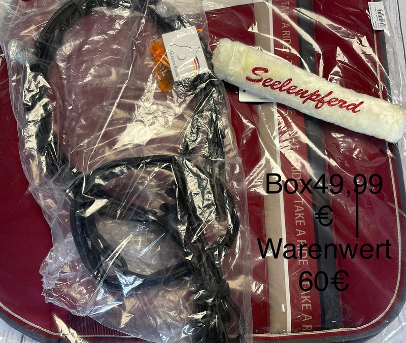 Überraschungsbox Reiter