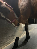 🌿Dinkelspelzkissen für die Pferdebeine🌿