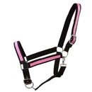 AUSVERKAUF Kaltbluthalfter "Big Boy"