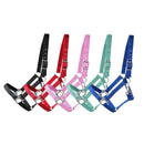 AUSVERKAUF Kunststoffhalfter "Maddy" Schwarz Shetty-Full