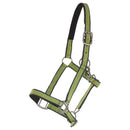 AUSVERKAUF Kunststoffhalfter "Paddock-bicolour" Mini Shetty-XXXFull