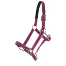 AUSVERKAUF Kunststoffhalfter "Paddock-bicolour" Mini Shetty-XXXFull