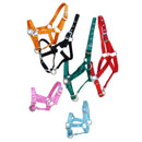 AUSVERKAUF Miniline, Nylonhalfter ''Petit'' Mini Shetty Fohlen-Mini Shetty groß