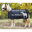 🐴🎁 Überraschungsbox Outdoordecken Regendecken 70-165 cm