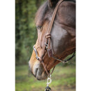 PENELOPE "ROPE HALFTER" Einheitsgröße