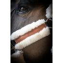 PENELOPE "SOFT" HALFTER Shetty