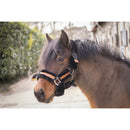 PENELOPE "SOFT" HALFTER Shetty